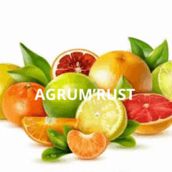 AGRUM'RUST
